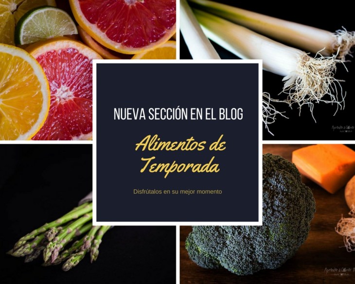 Nueva seccion en el blog-2