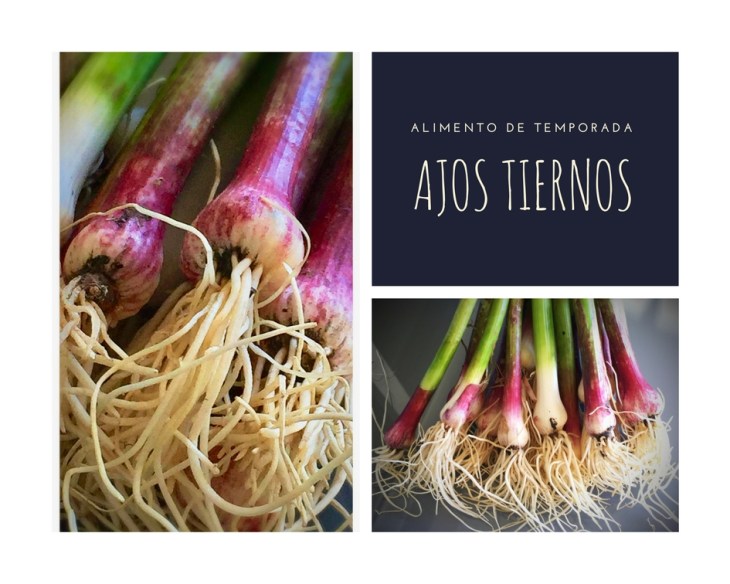 Nueva seccion en el blog-4-1