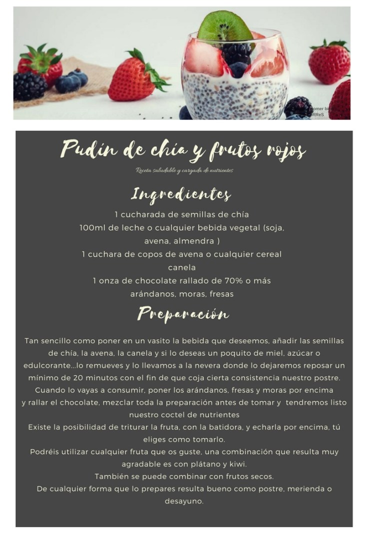 Pudin de chia_receta_blog